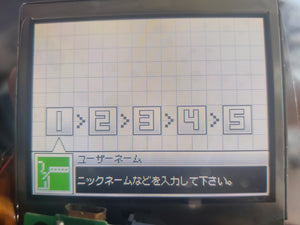 Authentic Oem Nintendo DS Lite Screen Replacement Pre-owned used #45