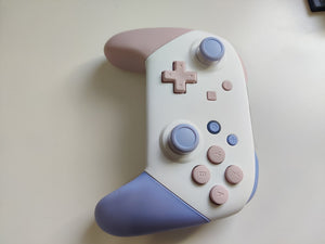 Custom Nintendo Switch Pro Controller Sakura & violet Mix color